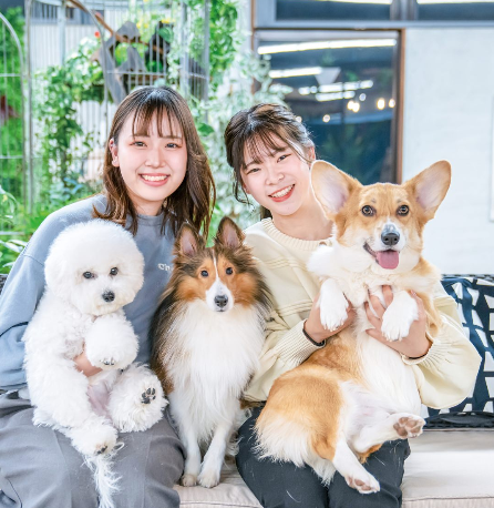 動物看護カレッジ